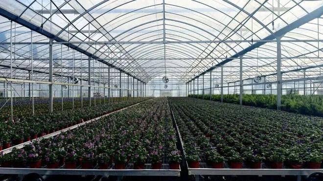 园风光交织金山推出周末休闲新路线冰球突破豪华版手机版现代农业与田(图3) 园风光交织金山推出周末休闲新路线冰球突破豪华版手机版现代农业与田(图3)