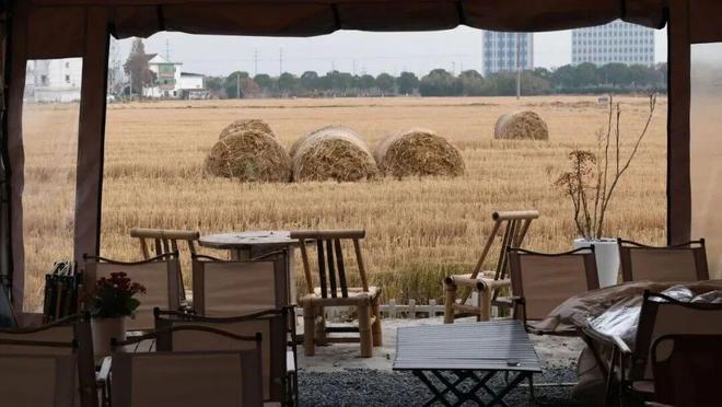 园风光交织金山推出周末休闲新路线冰球突破豪华版手机版现代农业与田(图9) 园风光交织金山推出周末休闲新路线冰球突破豪华版手机版现代农业与田(图9)