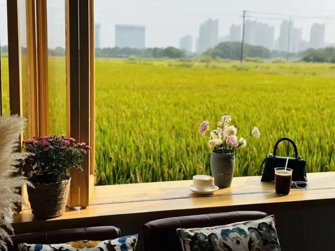 园风光交织金山推出周末休闲新路线冰球突破豪华版手机版现代农业与田(图4)