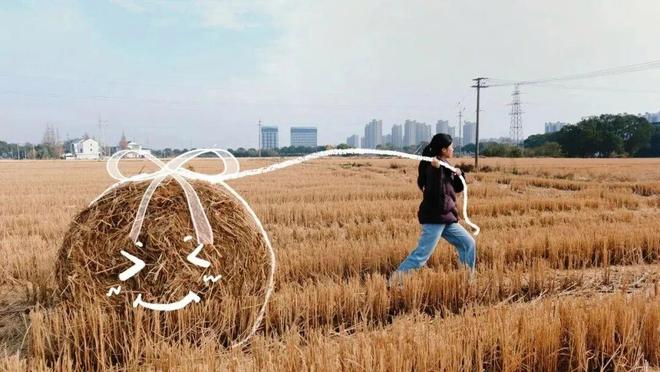 园风光交织金山推出周末休闲新路线冰球突破豪华版手机版现代农业